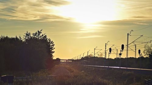 Silhouette trees on field against sky at sunset