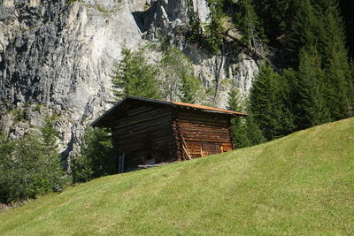 House amidst trees in forest