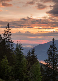 Silhouette tree on mountain against sky during sunset