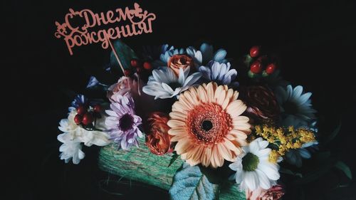 Close-up of multi colored flower bouquet against black background