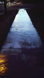 Reflection of trees in puddle