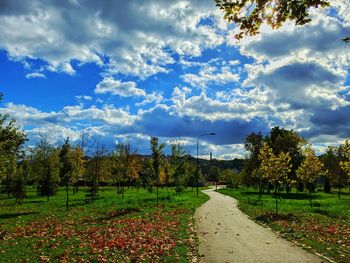 Scenic view of autumn trees against sky