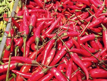 Full frame shot of red chili peppers