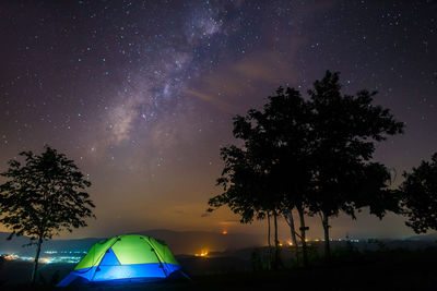 Scenic view of illuminated tree against sky at night