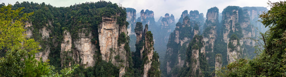 Panoramic shot of trees on land against sky