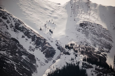 Scenic view of snowcapped mountains