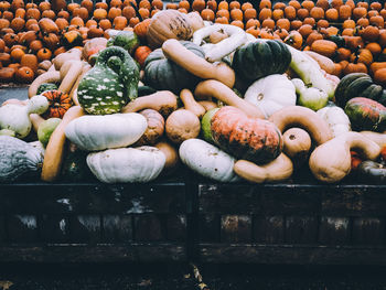 View of pumpkins for sale at market