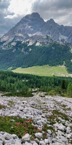 Valley from high mountain with flowers in the front end 