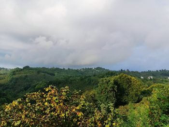 Scenic view of landscape against sky