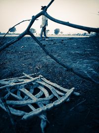 Close-up of rope tied to fishing net on beach