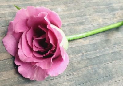 Close-up of red rose on wooden table