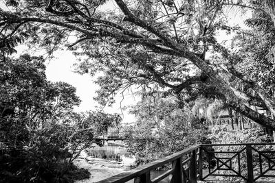 Low angle view of bridge against sky