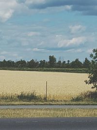 Trees on field against cloudy sky
