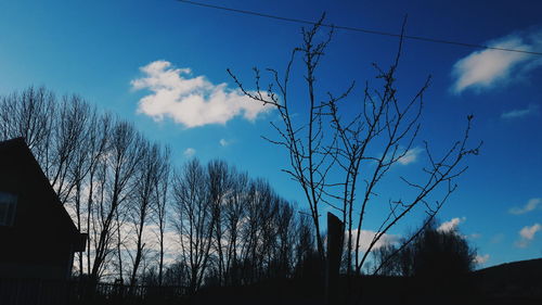 Low angle view of bare trees against the sky