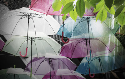 Low angle view of multi colored umbrellas hanging on glass