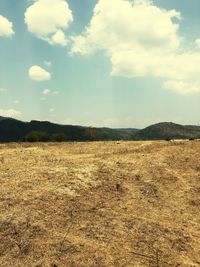 Scenic view of field against sky