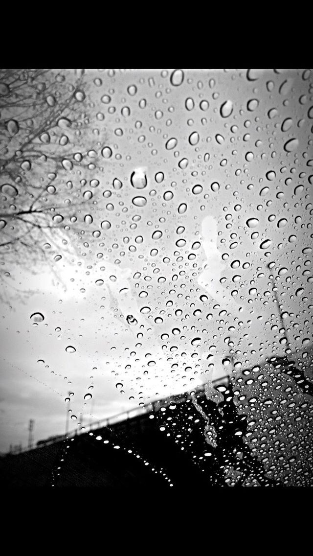 drop, rain, wet, water, raindrop, no people, sky, rainy season, nature, close-up, day, outdoors