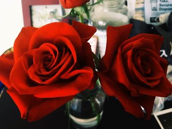 Close-up of rose bouquet