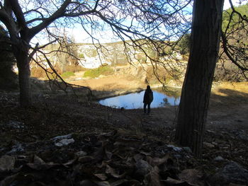 Silhouette man standing by bare tree in forest