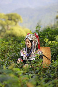 Woman with pink flower in field