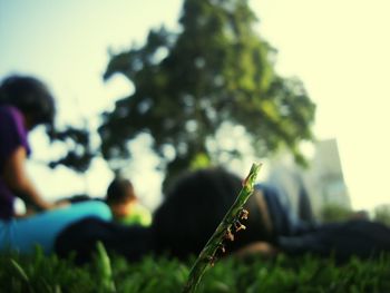 Person standing on grass