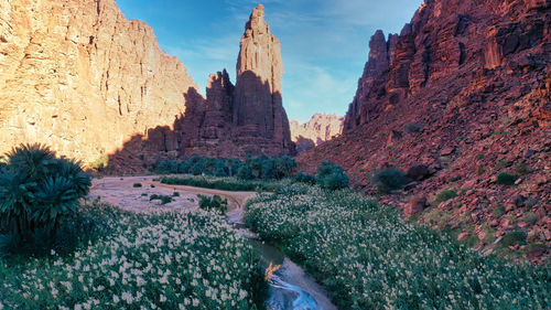 Panoramic view of rocky mountain