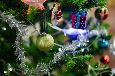 Close-up of christmas tree