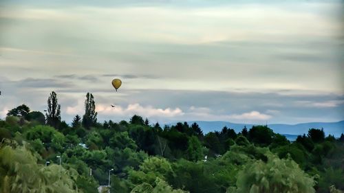 View of hot air balloon against sky