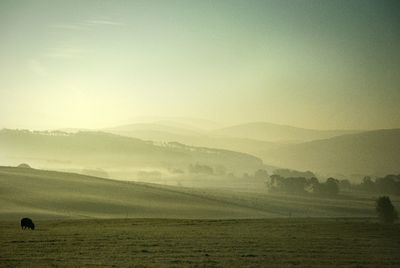 Scenic view of landscape against sky during foggy weather