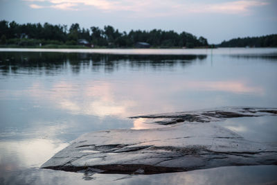 Close-up of reflection of tree in lake against sky