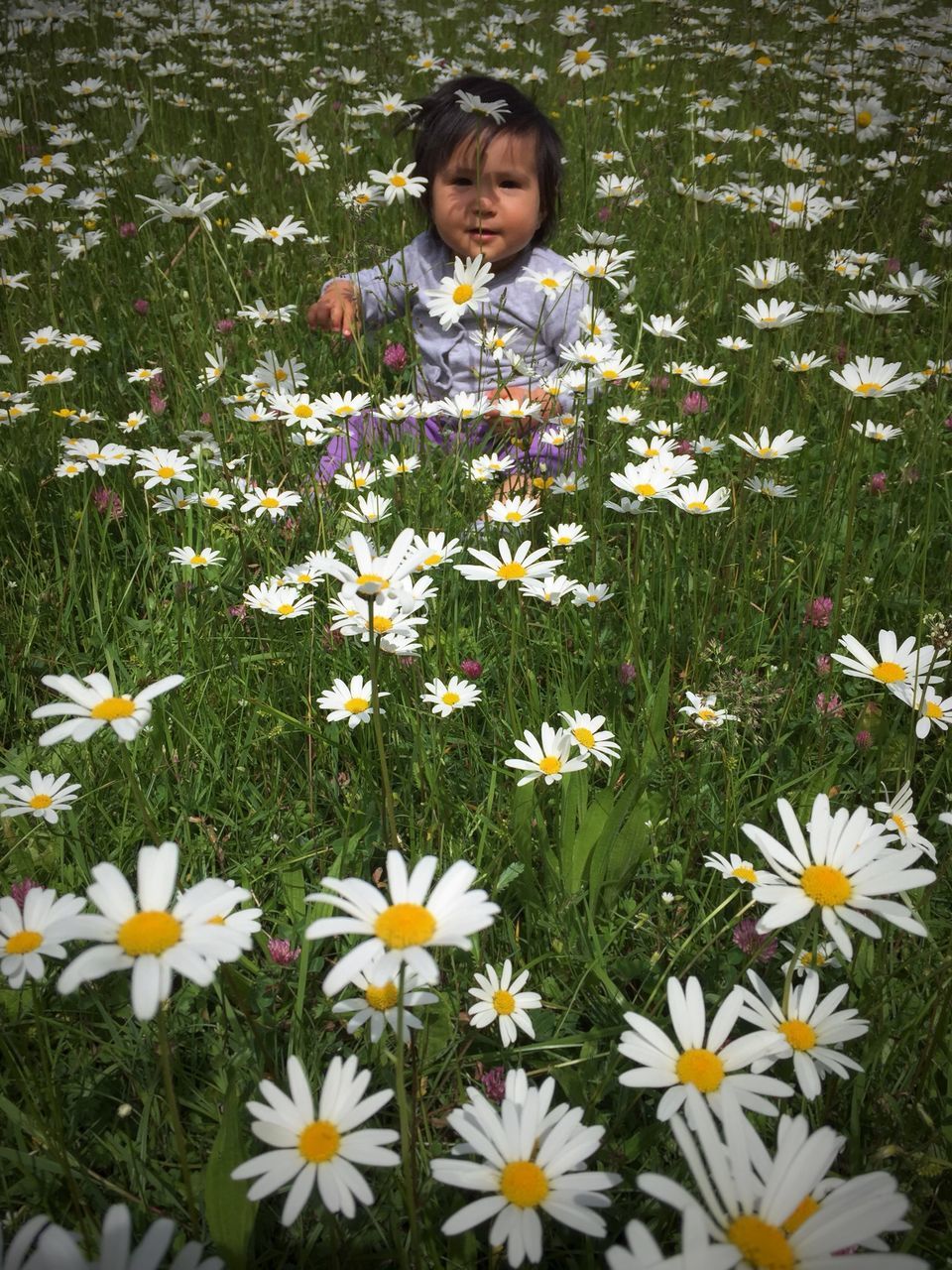 flower, person, lifestyles, casual clothing, leisure activity, smiling, looking at camera, portrait, young adult, front view, standing, freshness, happiness, three quarter length, growth, field, elementary age, young women