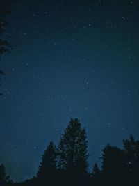 Low angle view of silhouette trees against star field at night