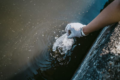 Cropped image of female volunteer picking plastic from lake