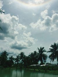 Scenic view of palm trees against sky