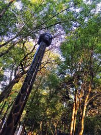 Low angle view of trees against sky