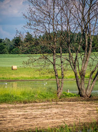 Scenic view of farm against sky