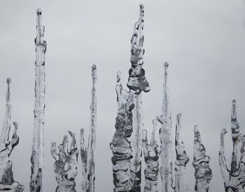 Close-up of icicles on land against sky