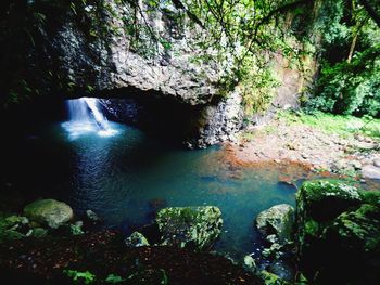 View of waterfall in forest