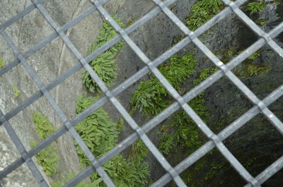 Full frame shot of chainlink fence