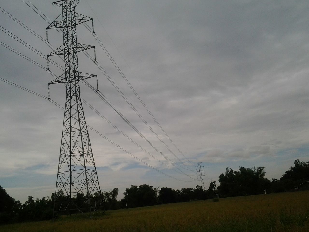 electricity pylon, power line, fuel and power generation, electricity, power supply, sky, field, technology, tree, landscape, connection, rural scene, low angle view, cloud - sky, cable, nature, tranquility, cloud, tranquil scene, no people