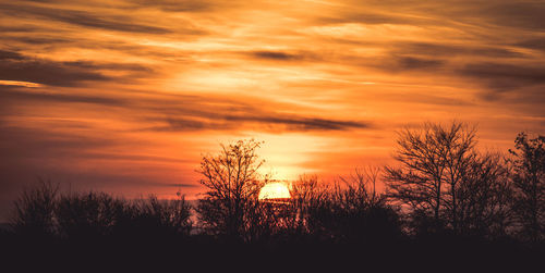 Silhouette trees against sky during sunset