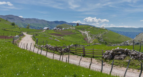 Scenic view of agricultural field against sky