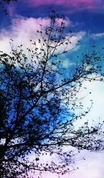 Low angle view of bare tree against cloudy sky