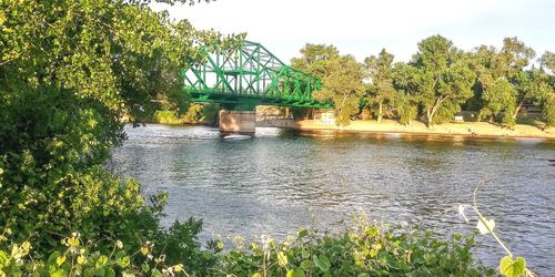 Scenic view of river against trees