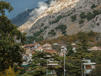 High angle view of trees and mountains