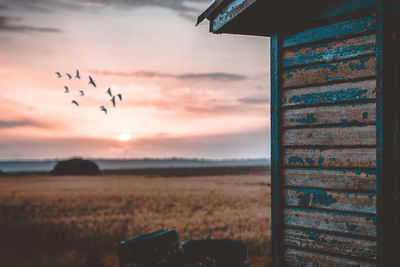 View of birds flying over landscape against sunset sky