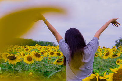 Rear view of woman standing on sunflower field
