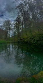 Scenic view of lake in forest