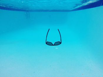 Close-up of swimming underwater