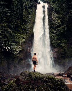 Full length of man standing on rock in forest